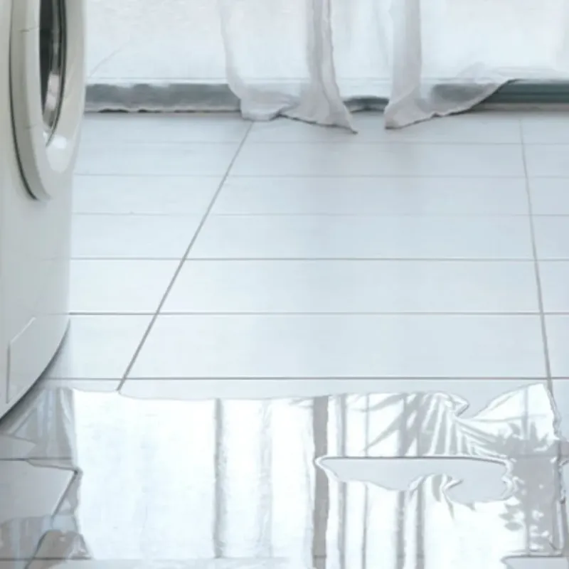 Appliance Leak Cleanup in Montecito, CA